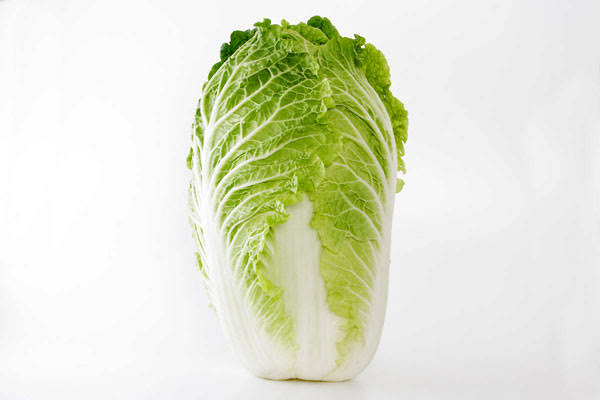 白菜　保存方法　野菜